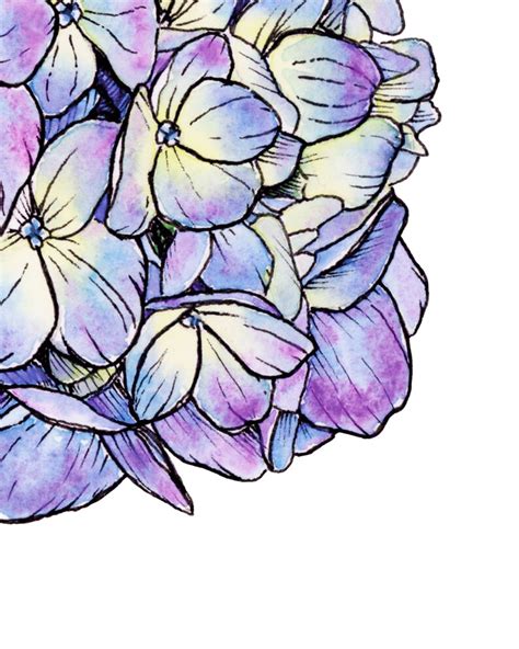 Purple Hydrangea Watercolor Painting Floral Wall Art Etsy