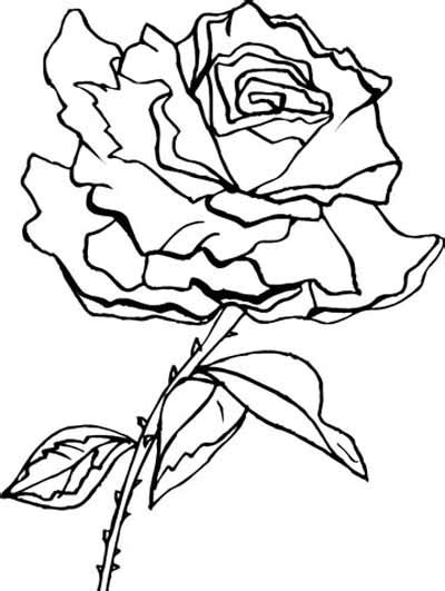 Download 188 rose vine free vectors. Rose Coloring Pages with subtle shapes and forms, can be colored with pastels, markers or paint ...