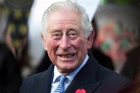 Prince Charles May Never Be Known As King Charles Iii New Idea Magazine