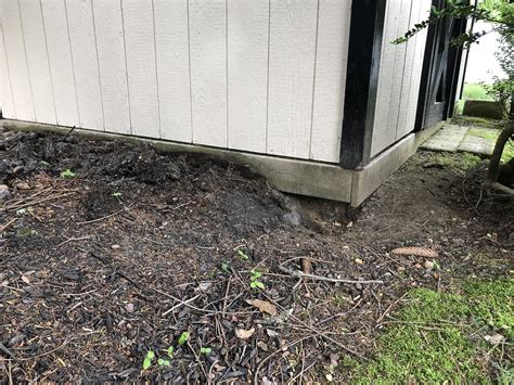 Wildlife Removal - Keeping Groundhogs Out of Brielle, NJ Shed ...