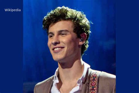 shawn mendes says he s felt pressure to prove he s not gay on top magazine lgbt news