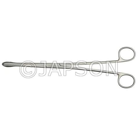 Ovum Forcep Dissecting And Surgical Biology Lab Products Products