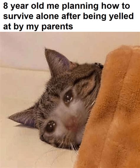 Crying Cat Meme IdleMeme