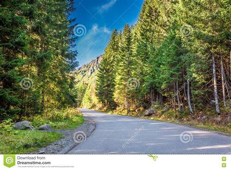 Sunny Road In The Tatras Mountains At Autumn Poland Stock Image