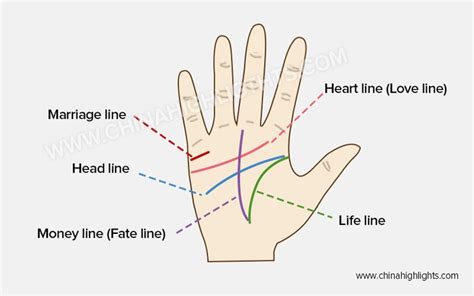 Palm Reading Guide How To Read Your Palm Lines With Chart