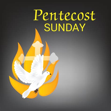 Pentecost Sunday Holy Spirit Dove 3429497 Vector Art At Vecteezy