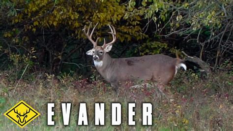 Evander A Giant Kansas Buck Is On The Ground Youtube