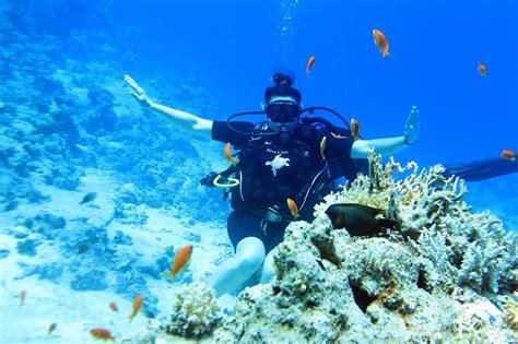 Discover Scuba Diving In Sharm El Sheikh 2 Dive From Shore Tourex Egypt