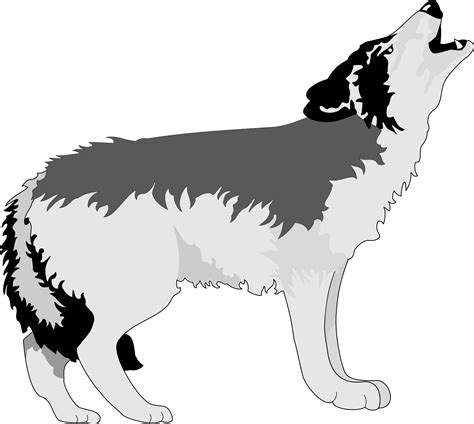 Gray Wolf Aullido Drawing Clip Art Wolf Png Download 19201718
