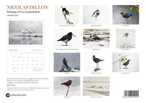 2024 Nicolas Dillon New Zealand Bird Paintings Calendar Potton And Burton