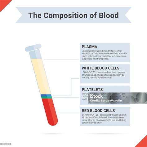 Composition Of Whole Blood Stock Illustration Download Image Now Istock