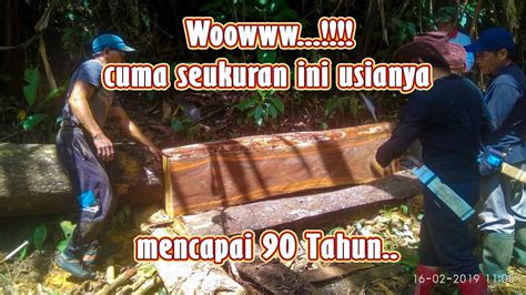 Membelah Kayu Terkuat Di Kalimantan Kalimantan Utara Youtube