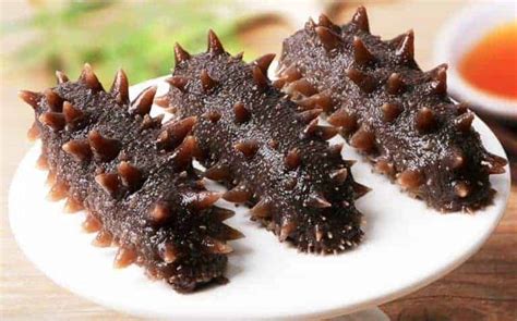 Sea Cucumber Taste Reviews And Cooking Guides My Chinese Recipes