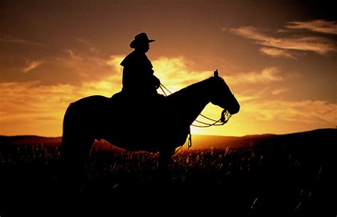 Cowboy Riding Into The Sunset Cowboy And His Trusty Horse Ride Off