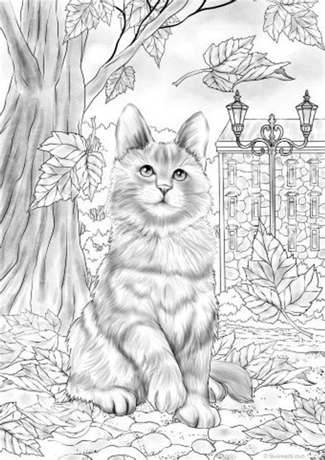 Https://favs.pics/coloring Page/adult Coloring Pages Cats