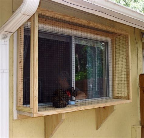 The Cat Carpenter Window Catios