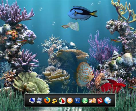 Free Download Aquarium Animated Wallpaper 901x733 For Your Desktop