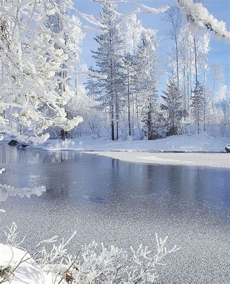 A Lake Surrounded By Trees Covered In Snow