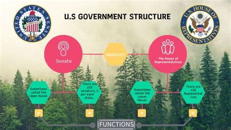 Us Government Structure