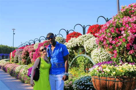 Dubai miracle garden is the world's largest natural flower garden and the most visited places in the another wonderful option for explorers is dubai butterfly garden. Dubai Miracle Garden 2016: A desert oasis of 45 million ...