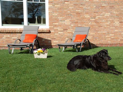 Die gleiche privatsphäre wie zu hause. Nordsee Wellness Ferienhaus mit Hund, Deutschland Nordsee ...