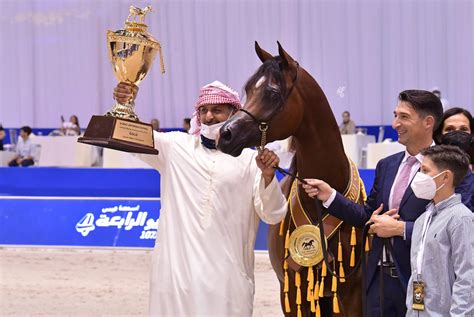 Dubai International Arabian Horse Championships 2021 The Champions