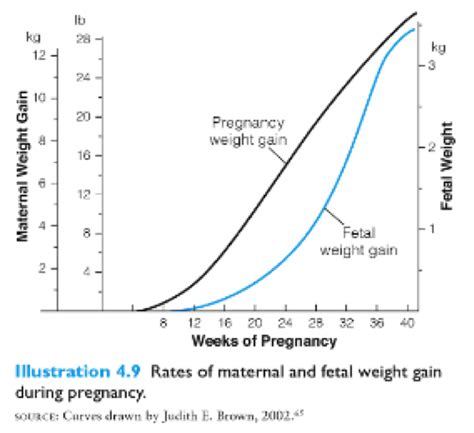 Healthy Weight Gain During Pregnancy Mommy To Be Prep