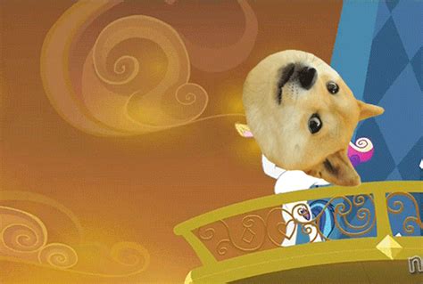 Wow such taste / such. Get this doge out of here | Doge | Know Your Meme