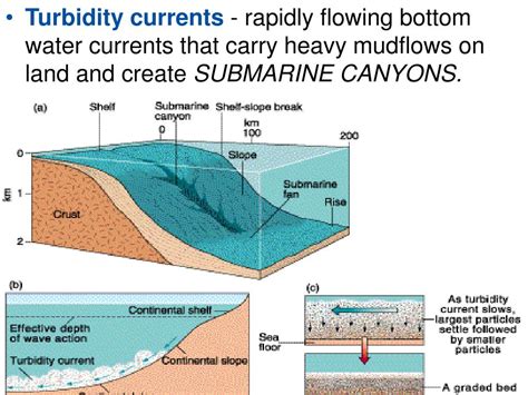 Ppt Oceanic And Continental Crust Powerpoint Presentation Free