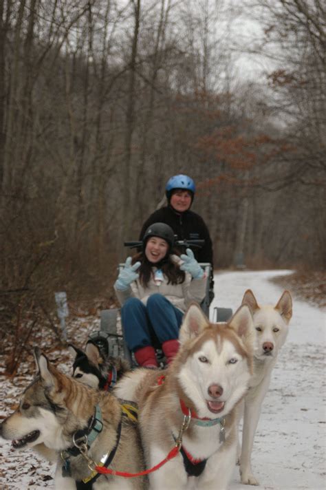 Maryland Dog Sledding Photos From Previous Girl Scout And Boy Scout