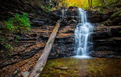 Wallpaper Autumn Forest Leaves Stream Stones Waterfall Usa