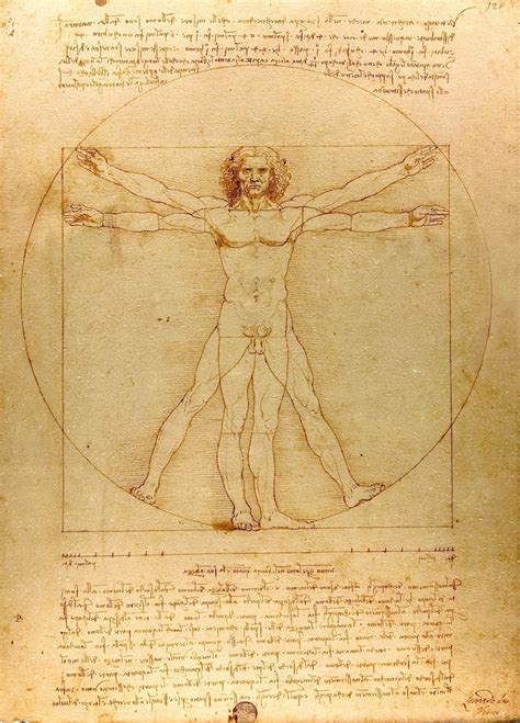 The Significance Of Leonardo Da Vincis Famous Vitruvian Man Drawing My Modern Met