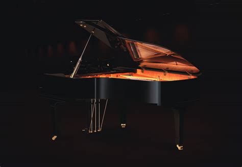 In den sehr komplizierten aufbau eines muskels verschaffen. Klavier Aufbau Beschriftet : Die Klaviatur Alles Uber Die ...