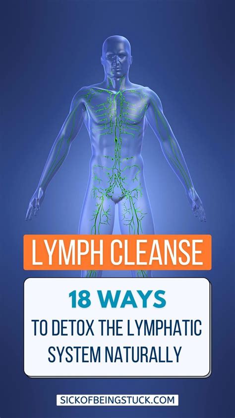 Lymph Cleanse 18 Ways To Detox The Lymphatic System Naturally An Immersive Guide By Sick Of