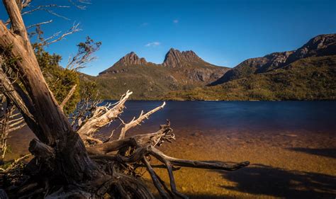 Cradle Mountian Lake Stclair National Park Tasmania National Parks