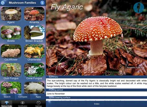 We did not find results for: 4 Plant Identification Apps for iPhone