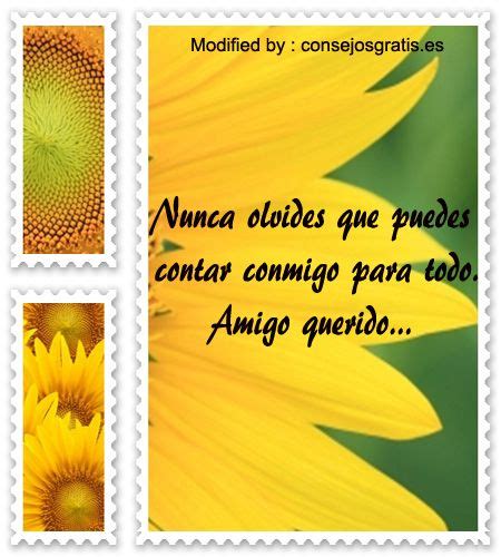 Te tienes que mantener en movimiento para no caer. descargar frases bonitas de agradecimiento por amistad ...