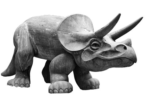Triceratops Dinosaur Free Stock Photo - Public Domain Pictures