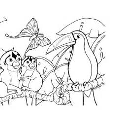 Forest Animal Coloring Pages Coloring Home