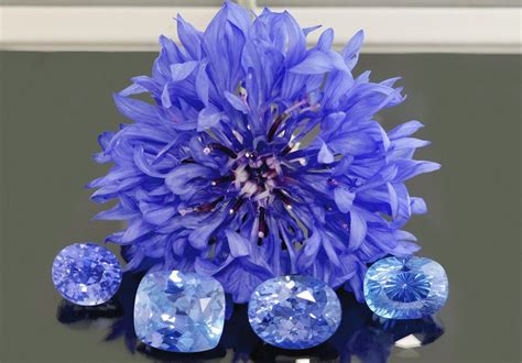 Cornflower Blue Sapphire A Complete Buyers Guide Precision Cut