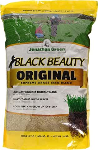 Amazon Com Black Beauty Grass Seed