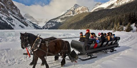 Best Winter Activities Calgary In 2021 Top In Canada