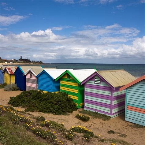 Brighton Bathing Huts By Pauline Tims Redbubble