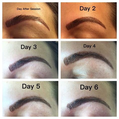 Microblading The First Week Day By Day Photos Of Microblading Healing My Xxx Hot Girl