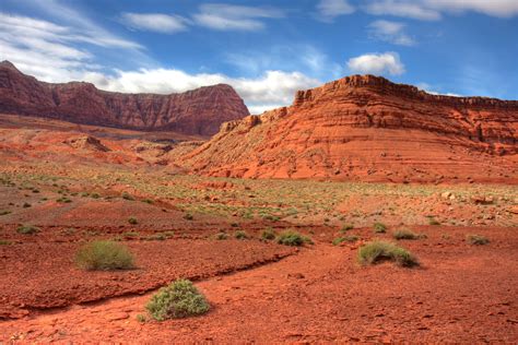 Arizona Desert Scenes Wallpaper Wallpapersafari