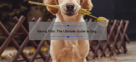 Saving Fido The Ultimate Guide To Dog Hernia Surgery Costs Expert