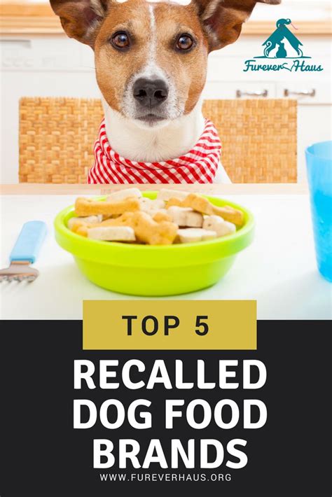 The best canned cast foods have the right nutrients, the flavor, and ingredients to keep your cat happy. Top 5 Recalled Dog Food Brands | Dog food brands, Dog food ...