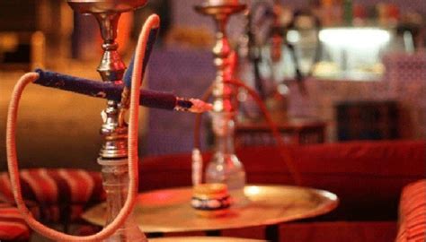 أهمية أخذ لقاح الانفلونزا الموسمية لهذا العام: تعرف على بروتوكولات السماح بعودة الشيشة والمعسلات.. أبرزها ...