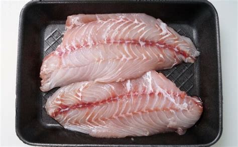 Redsnapperfillets8001538553407 Erfisheriesbm