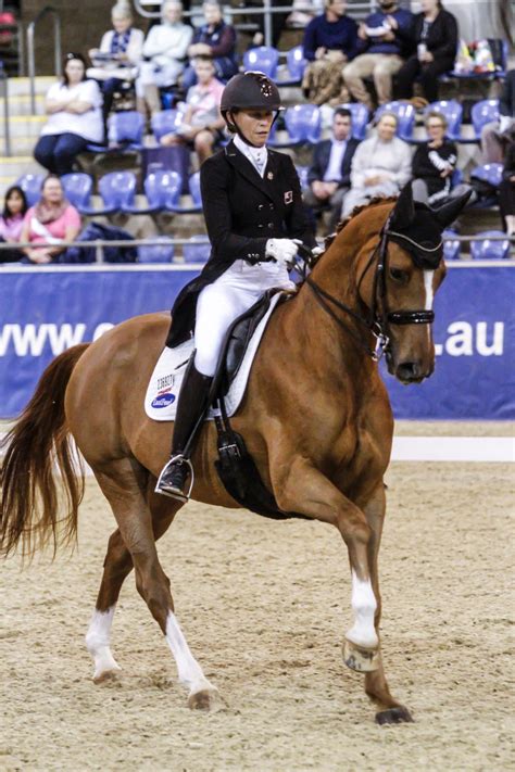 Sign up for free today! Dressage Riders Prove Very Competitive in Australia | ESNZ